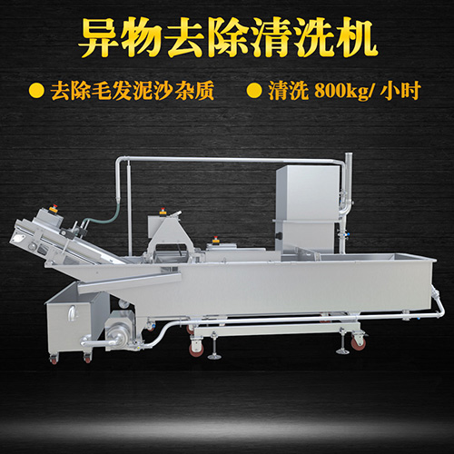 水果自動清洗機，有效清洗，去除泥沙