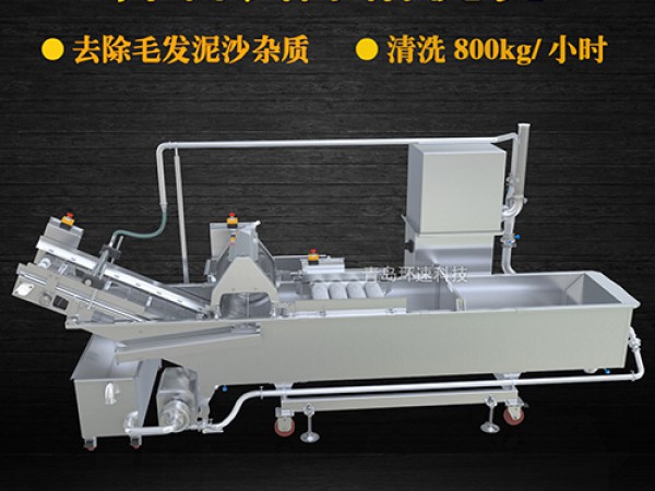 蔬菜清洗機(jī)，氣泡清洗，清洗800kg/小時(shí)